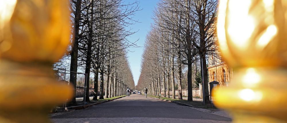 Noch ist der Park Sanssouci kostenlos zugänglich.