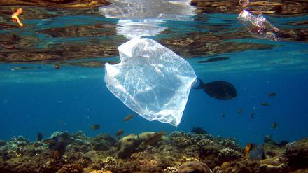 Ägypten, Naama Bay: Eine Plastiktüte schwimmt über Korallen im Roten Meer in Ägypten. 