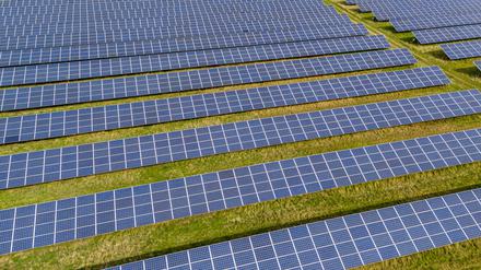 Potsdams kommunaler Energieversorger EWP plant einen Solarpark in Groß Kreutz. Ab 2025 soll der erste regionale Naturstrom ins Netz eingespeist werden.